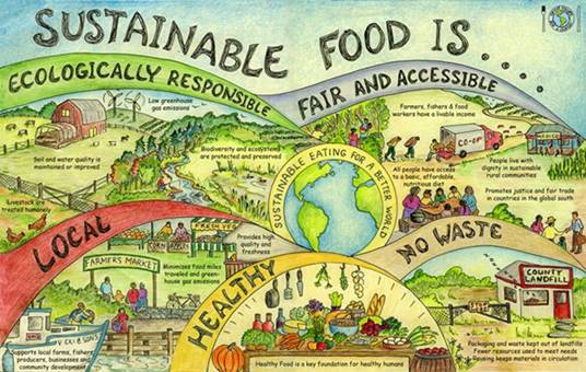 sustainable-food